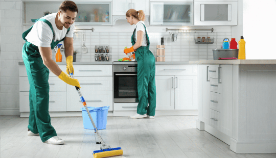 We Professionally Deep Clean & Shine